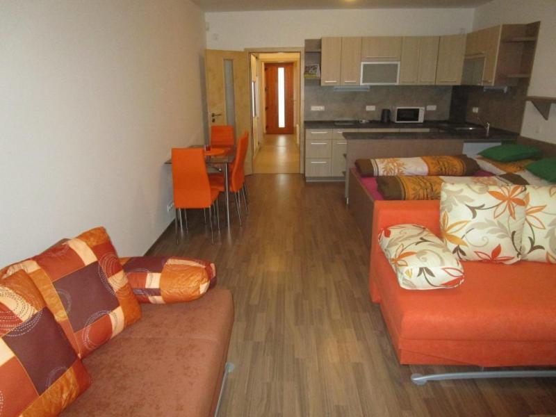 Apartman Ricky V Orlickych Horach Pustiny ภายนอก รูปภาพ