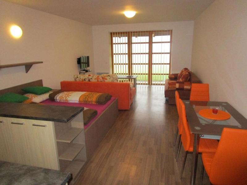 Apartman Ricky V Orlickych Horach Apartment Pustiny ภายนอก รูปภาพ