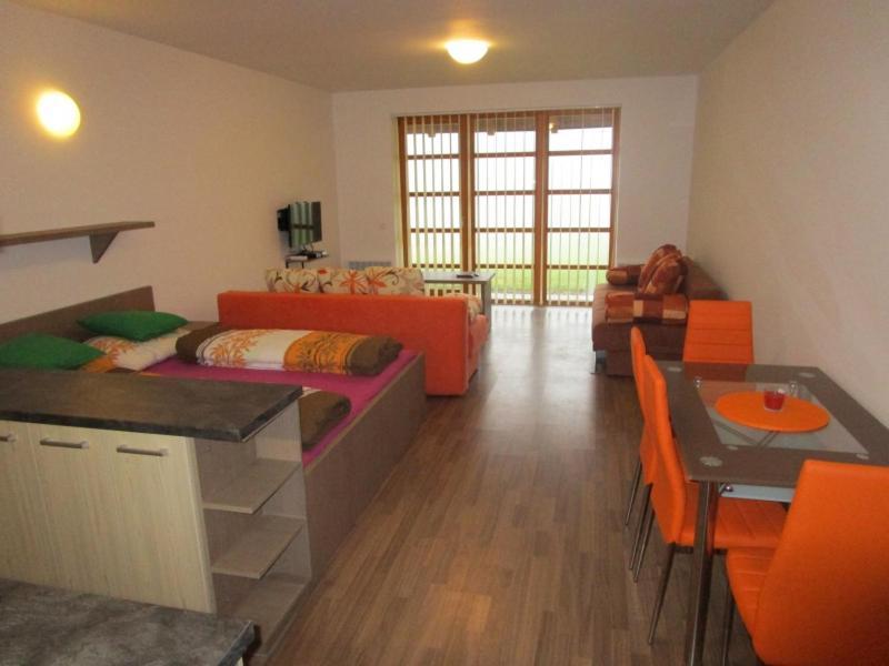 Apartman Ricky V Orlickych Horach Pustiny ภายนอก รูปภาพ